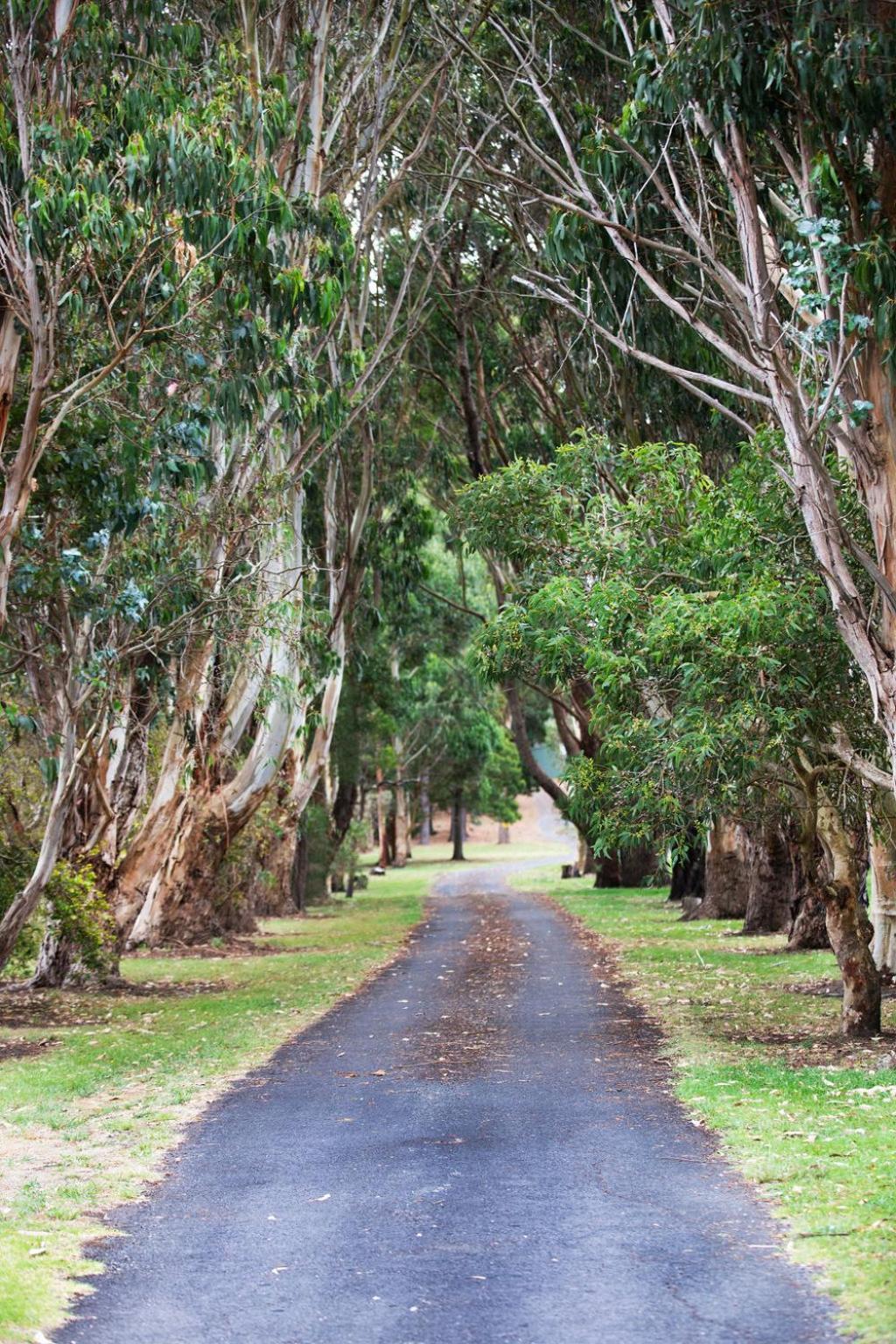 Clarendon Chalets Mount Gambier Buitenkant foto