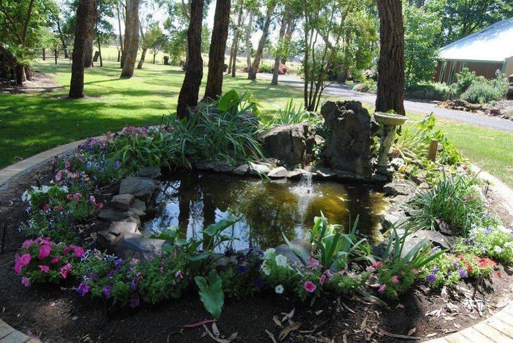 Clarendon Chalets Mount Gambier Buitenkant foto
